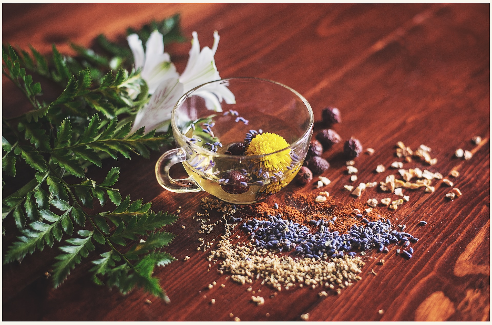 B.Voc Herbal Beauty Care - Bodhinex Institute