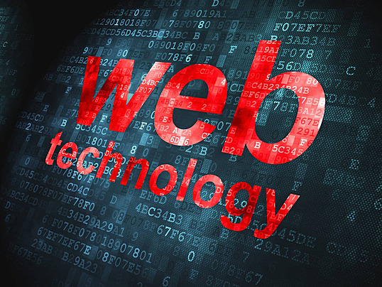 B.Voc Web Technologies - Bodhinex Institute